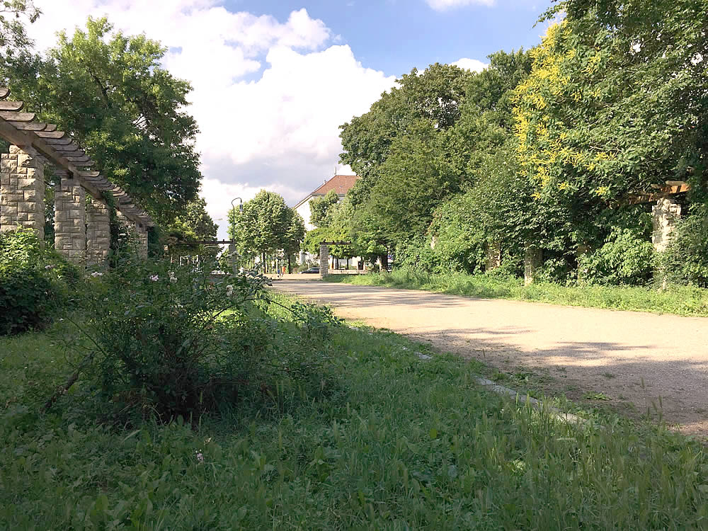 Bild: Alboinpark neben unseren Seminarräumen
