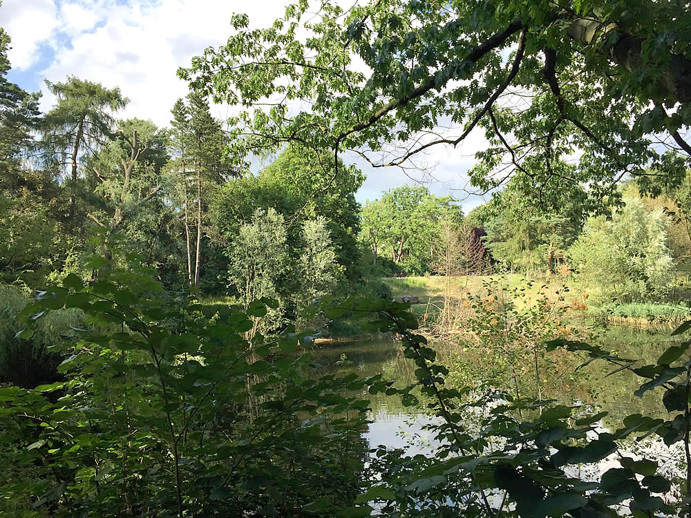 Bild: Alboinpark neben unseren Seminarräumen